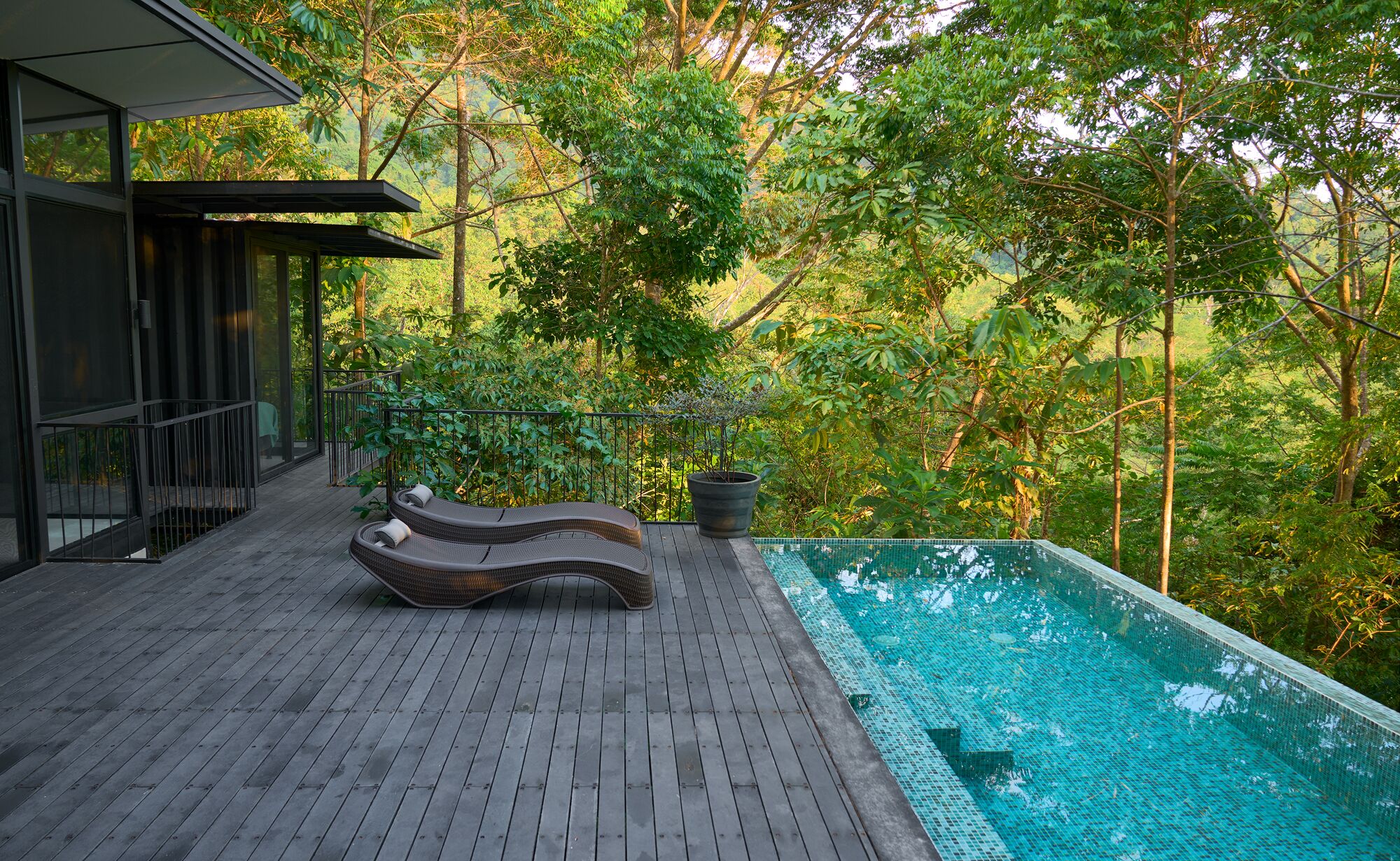Une terrasse en bois avec une piscine et des chaises longues, offrant une vue sur une forêt luxuriante.