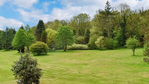 Une zone verdoyante bien entretenue, avec différents arbres et arbustes, qui fait probablement partie d’un parc ou d’un jardin.