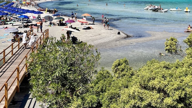 A beach with clear blue water, umbrellas, and people.