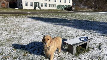 Enceinte de lâhĂ©bergement