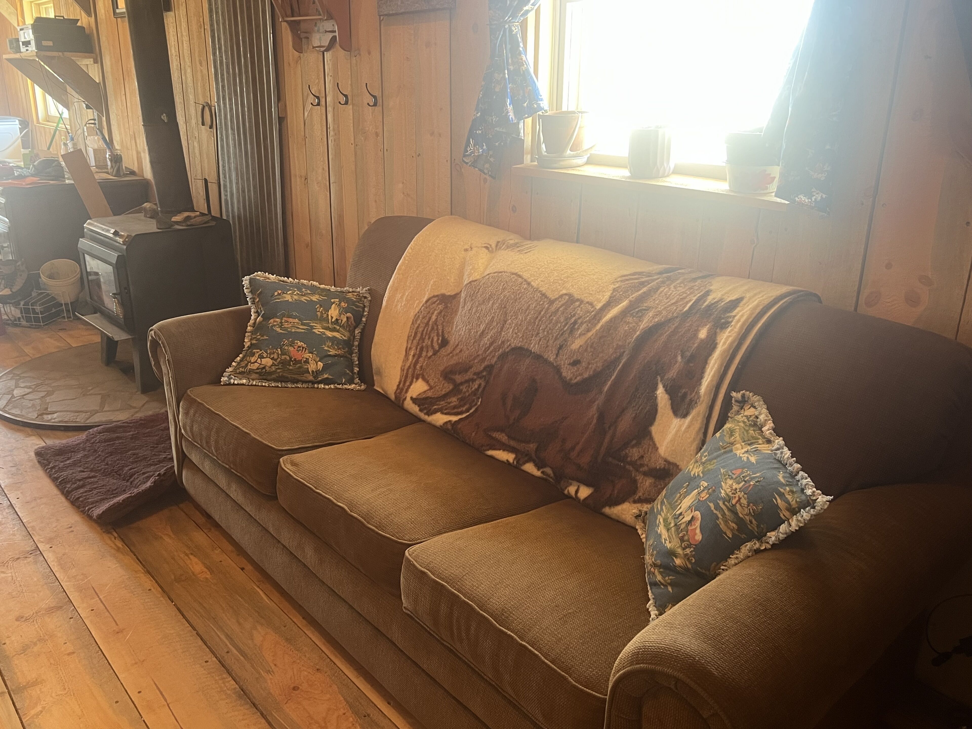 Ramshorn Peak View Cabin + 15 Acres & local food. Animal friendly. 