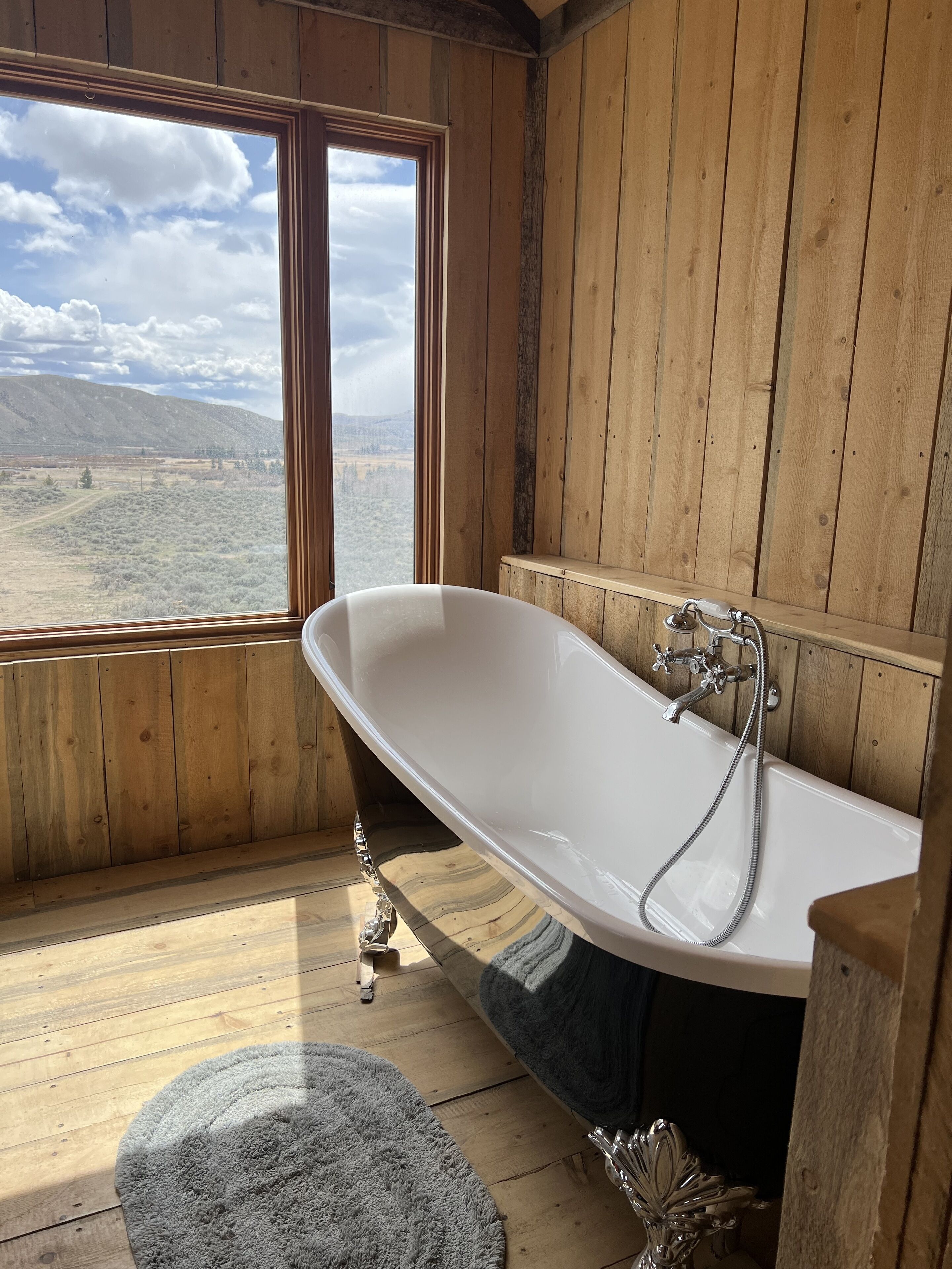 Ramshorn Peak View Cabin + 15 Acres & local food. Animal friendly. 