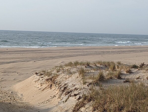 Playa en los alrededores 