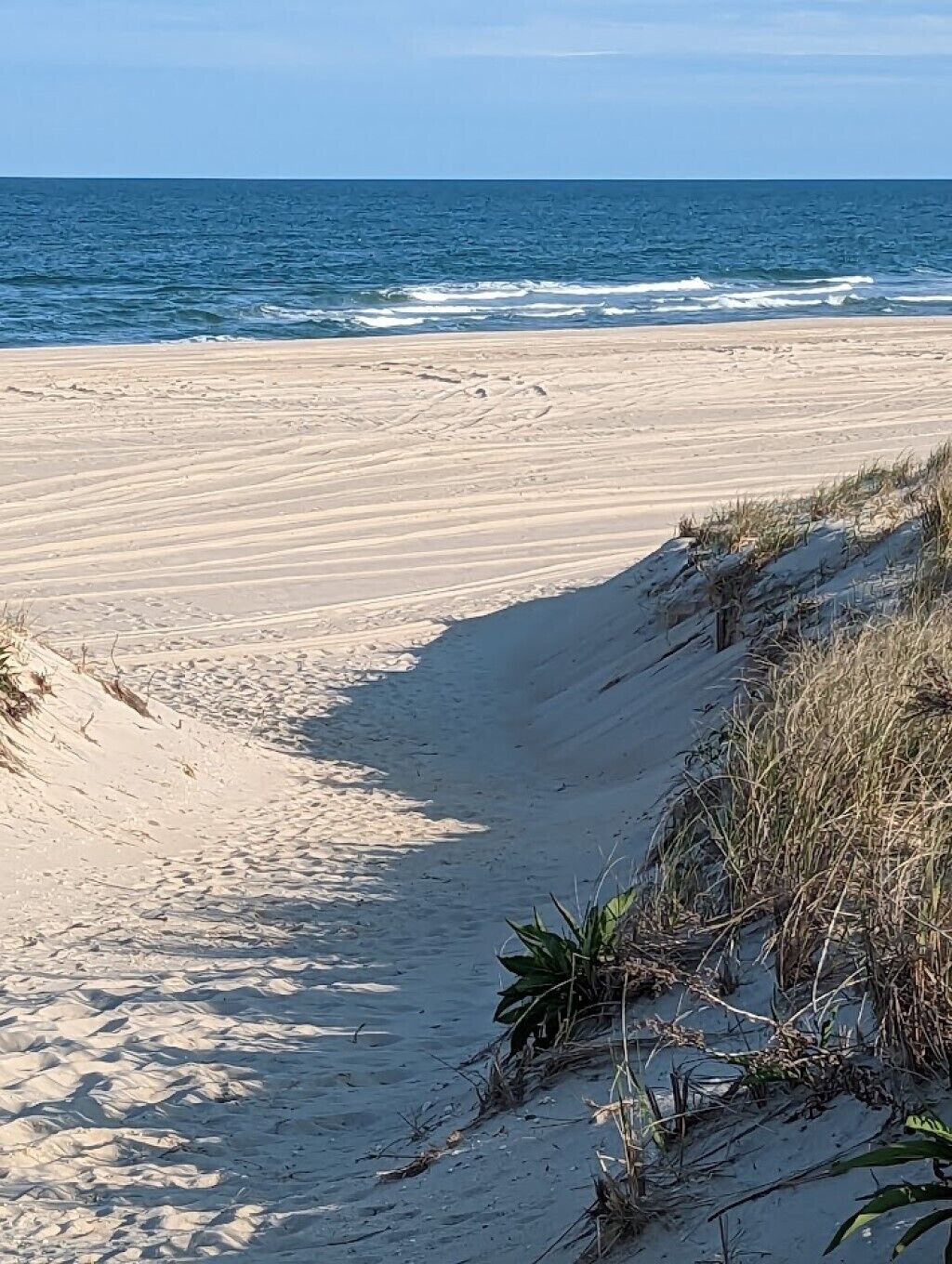 Playa en los alrededores 