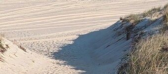 4th house from the beach!