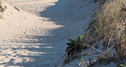 4th house from the beach!