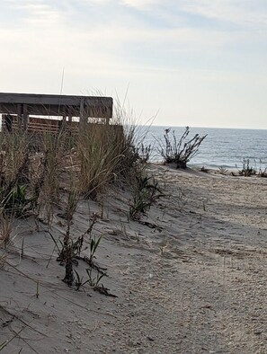Nära stranden