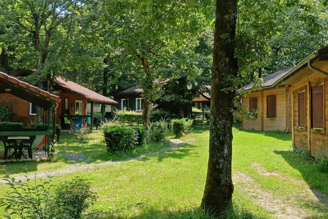 A rustic wooden cabin with a thatched roof, surrounded by lush greenery and a gravel path.