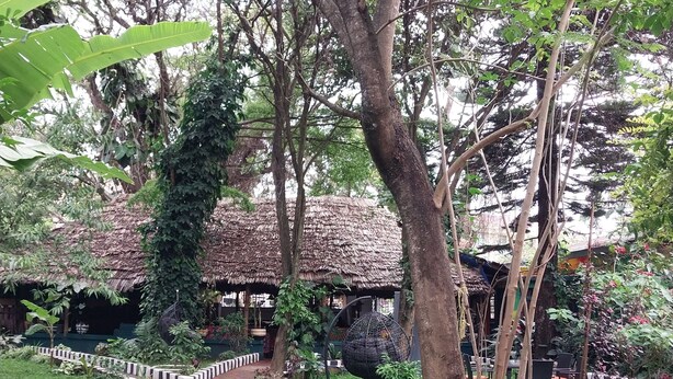 A garden pathway leading to a thatched-roof structure surrounded by lush greenery and a variety of plants. - Green Garden Guest House  (Arusha)