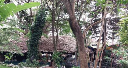 Green Garden Guest House