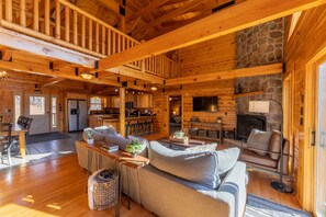 TV, lareira, DVD player