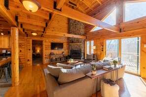 TV, fireplace, DVD player