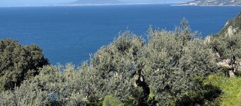 Cesina Home | Apartment in Historic Villa with Panoramic Terrace
