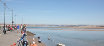 Tillerman Cottage (Appledore) Devon
