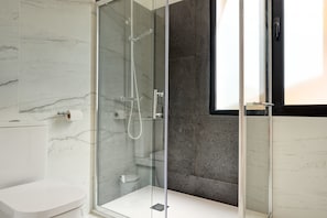 Shower, hair dryer, towels, soap