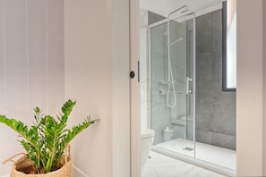 Shower, hair dryer, towels, soap