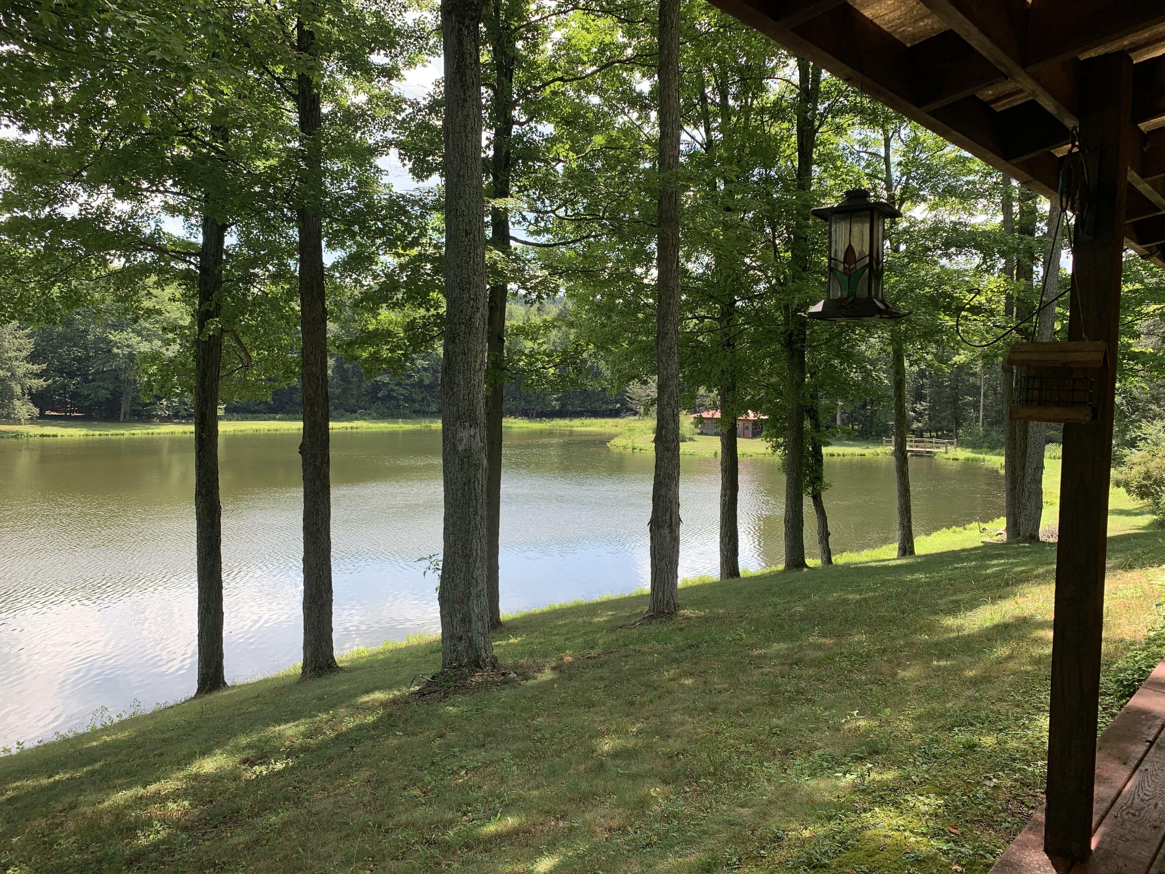 Lakeside Bliss: Your Own Lake House on 33 Acres with an 8-Acre Private Lake