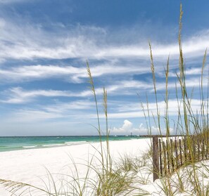 Playa en los alrededores, camastros y toallas de playa 