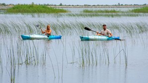 Deux personnes pratiquent le kayak sur une étendue d’eau calme, bordée de hautes herbes.