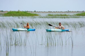 Twee mensen kajakken in kalm water, met hoge grasvelden aan de oevers.