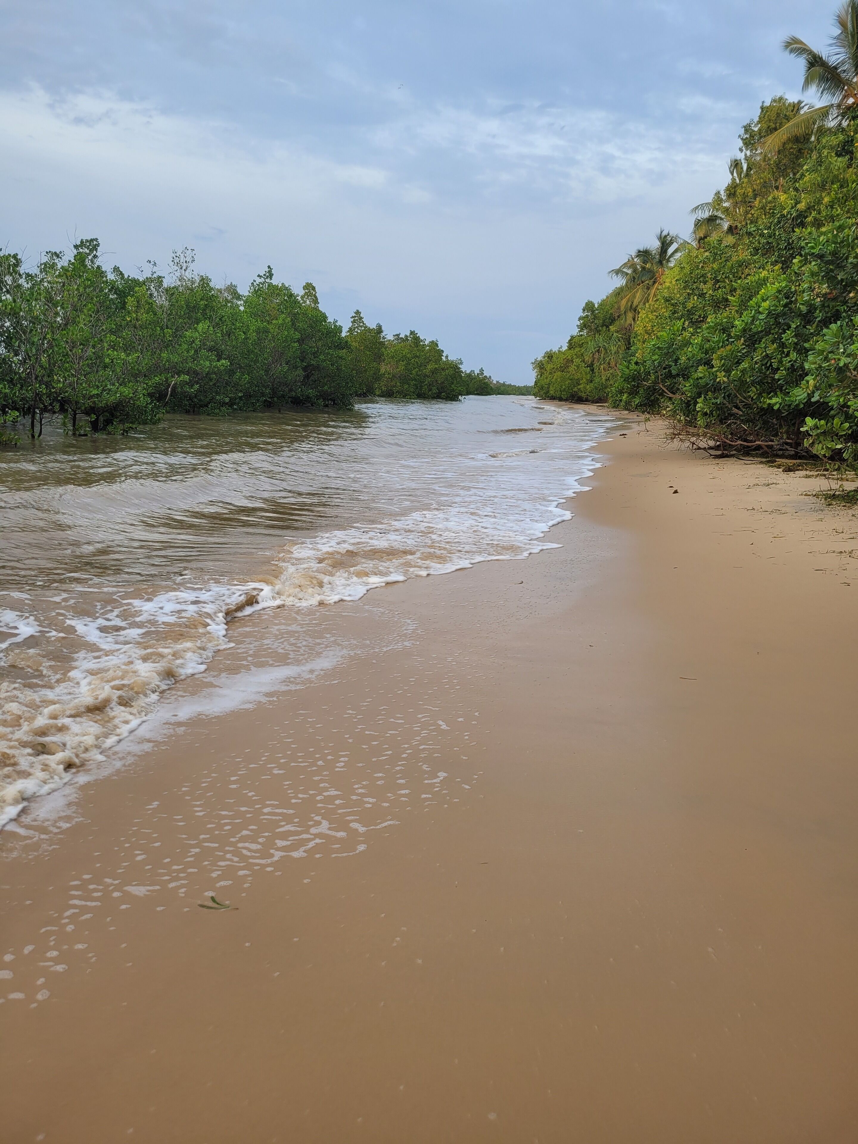 A beach with calm waves and dense greenery on both sides.