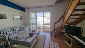 Smart TV, DVD player, books, stereo