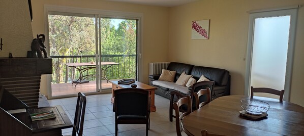 Télévision, cheminée