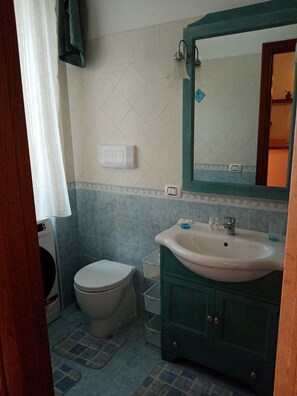 Een douche, een haardroger, een bidet, handdoeken