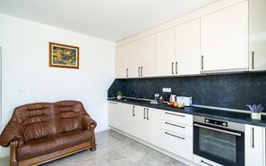 Fridge, oven, stovetop, dishwasher