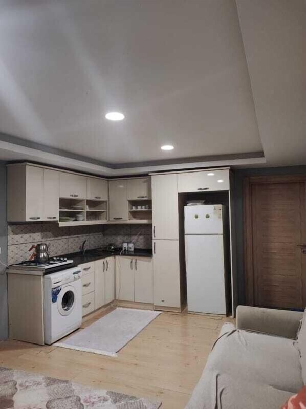 Großer Kühlschrank, Herdplatte, Kochgeschirr/Geschirr/Besteck, Gewürze