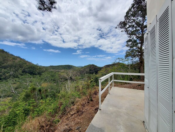 Property grounds - COZY FARMHOUSE with 7 acres. Close to the West Coast. (Yauco)