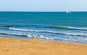 Beach nearby - 3 bedroom nice home in Gizzeria (Gizzeria)
