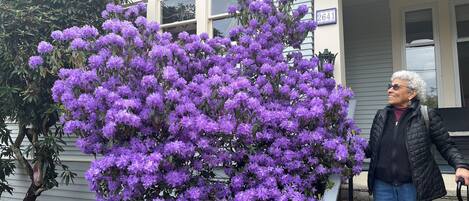 DĂ©tail de lâextĂ©rieur