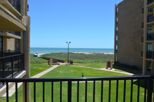 Property grounds - Coastal Island Retreat! Right off the beach! (South Padre Island)