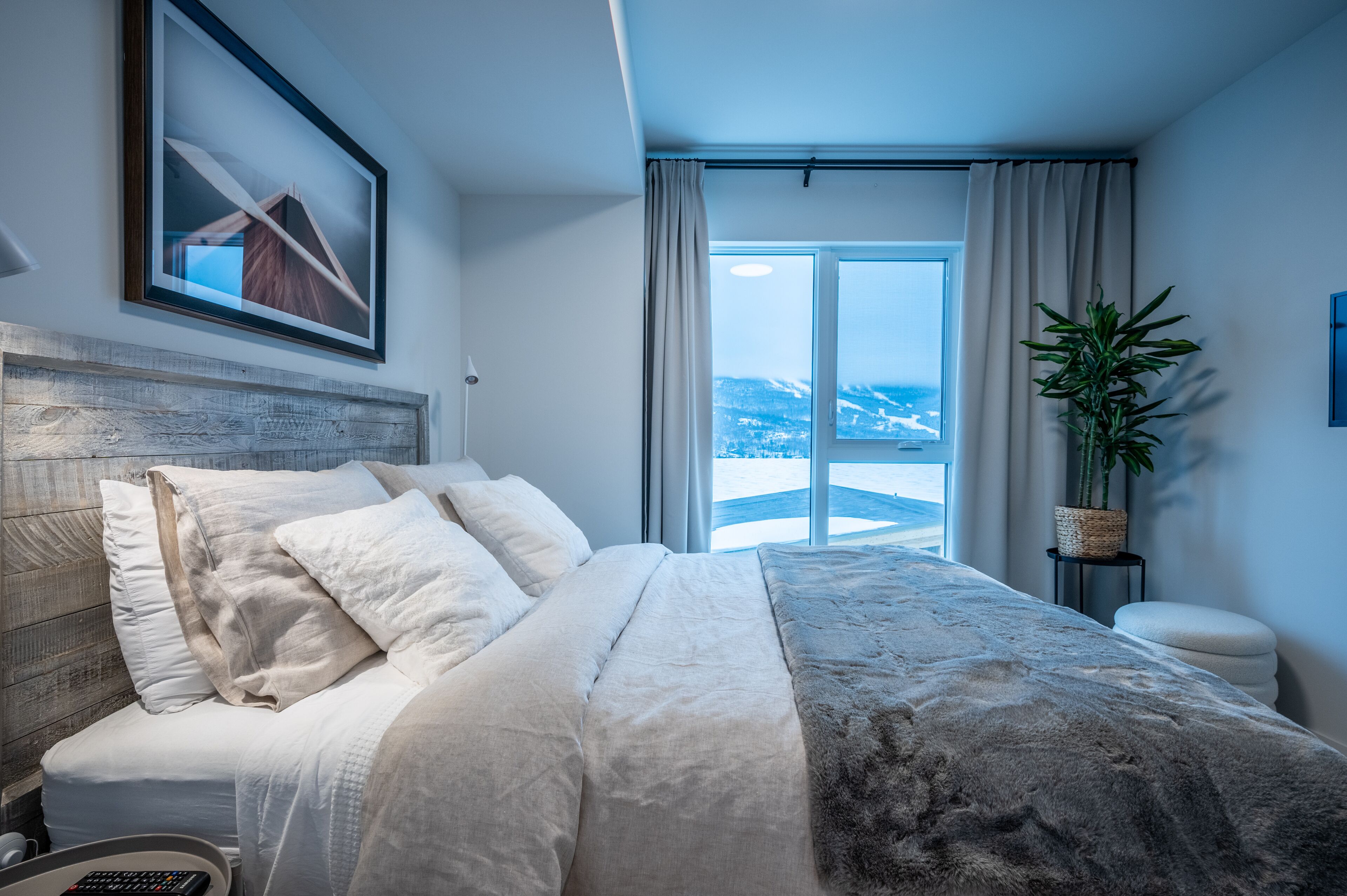 A modern bedroom with a large bed, a view of the outdoors, and a potted plant.