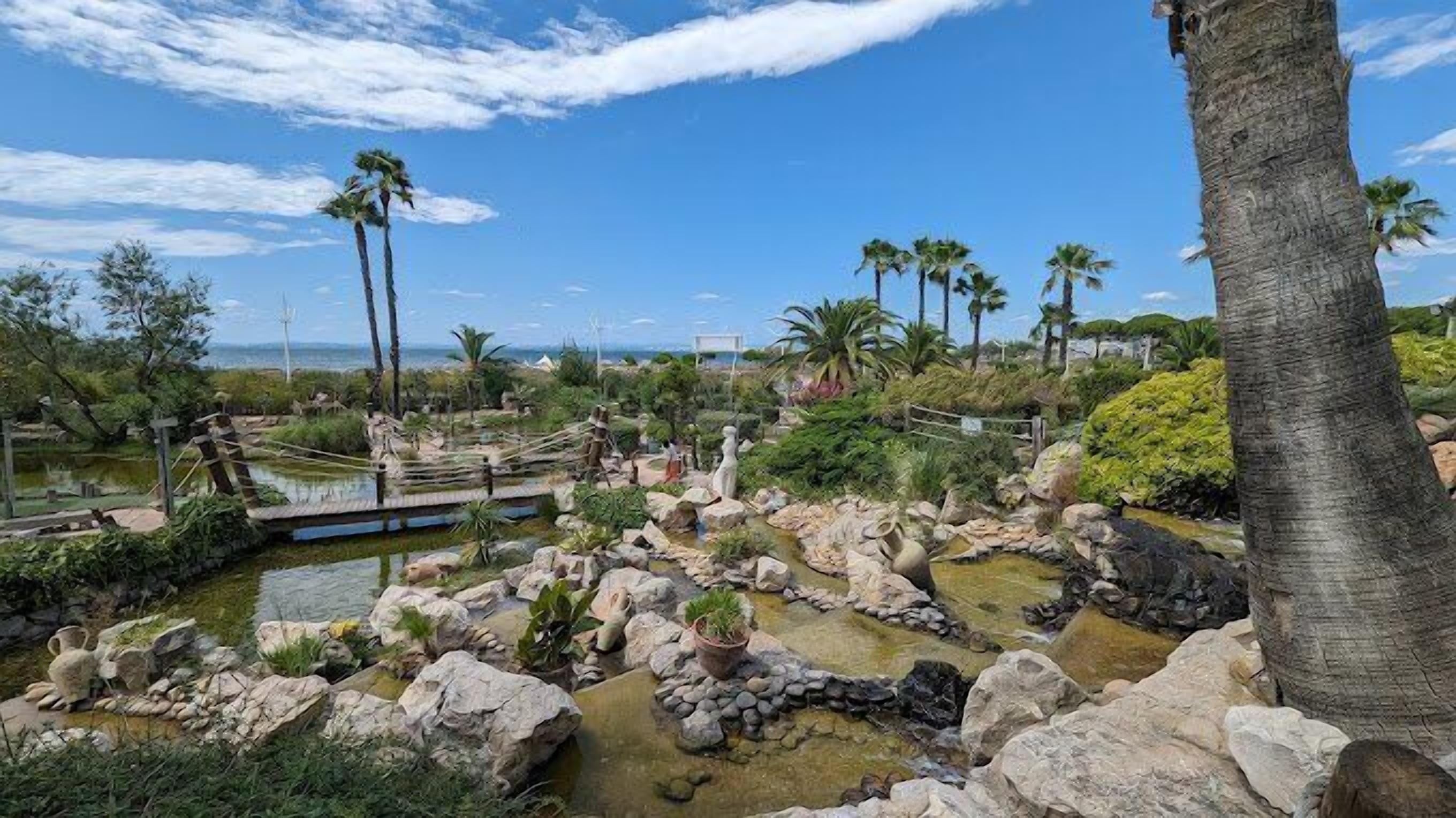 Un giardino curato con un laghetto, palme e un terreno roccioso.