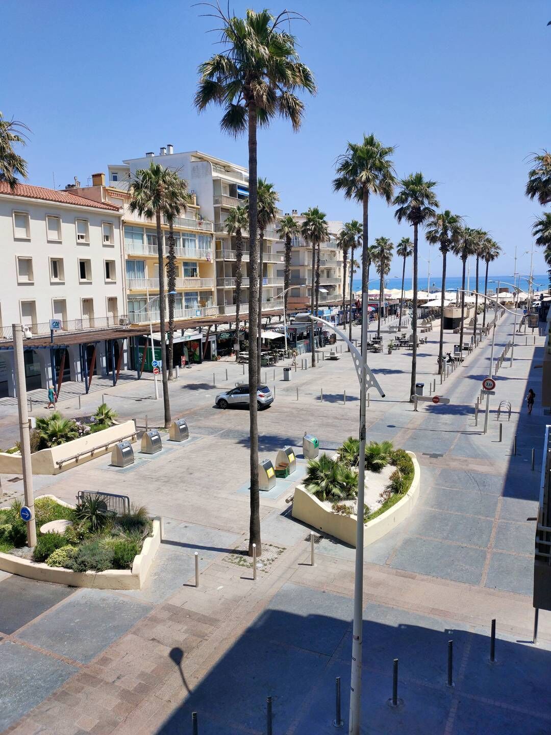 Une zone urbaine côtière bordée de palmiers, avec une promenade piétonne et des bâtiments dotés de balcons.