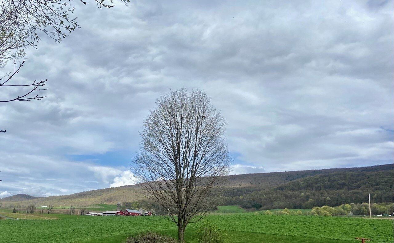 A rural landscape with a single tree in the foreground, a red building in the midground, and rolling hills in the background.
