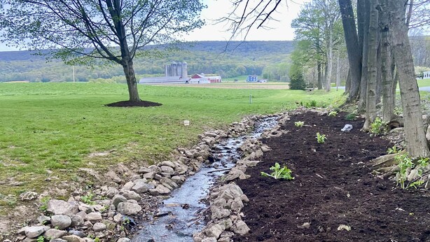 A rural landscape with a stream, a tree, and a distant farmstead. - Country Getaway, 2- bedroom, Jacuzzi, fire ring (Woodbury)