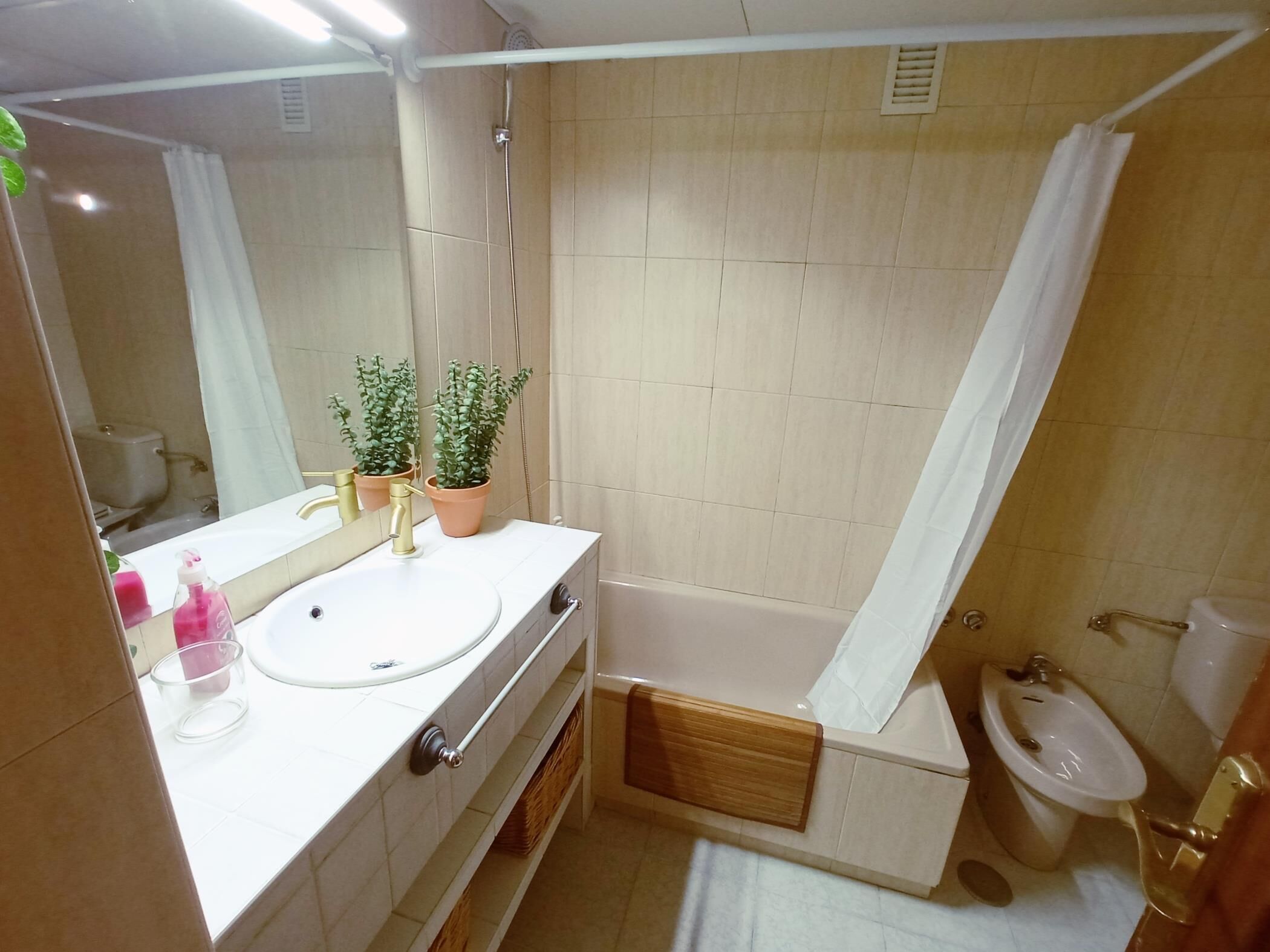 Patio La Compañía de Córdoba