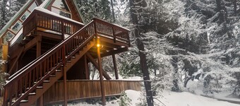 Calming, dog-friendly cabin in the woods with firepit, deck & board games