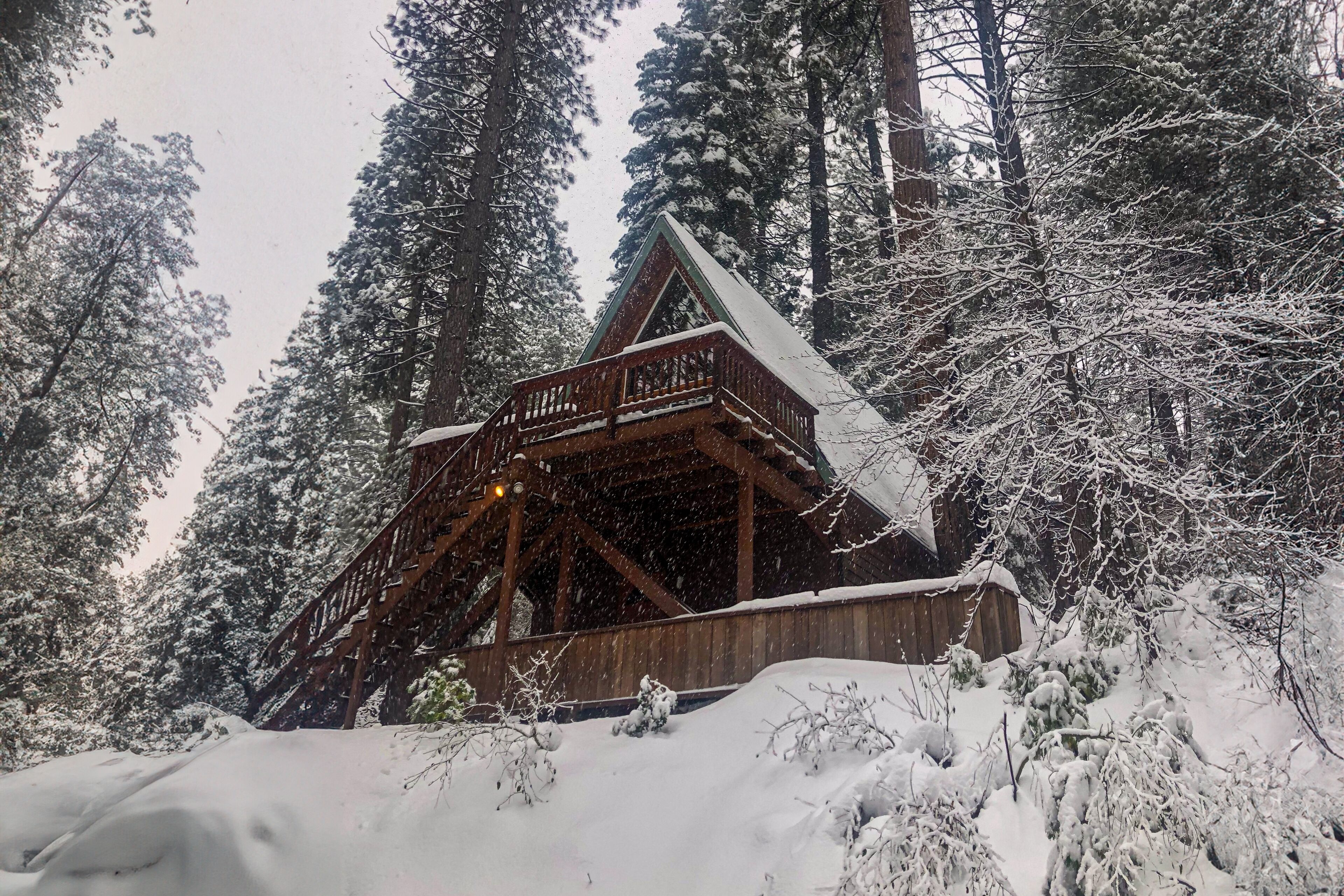 Calming, dog-friendly cabin in the woods with firepit, deck & board games
