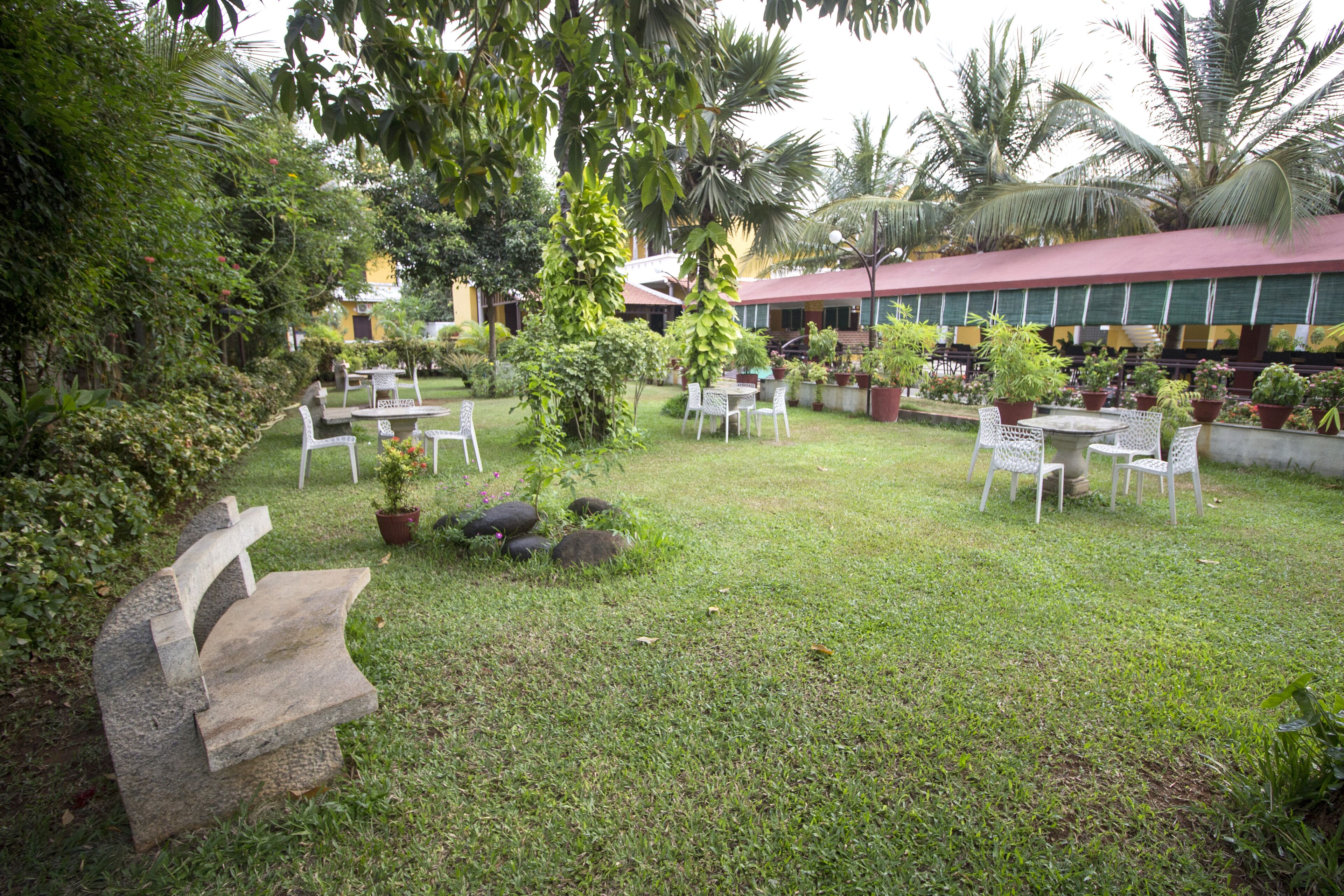 Poppys Olive De Villa