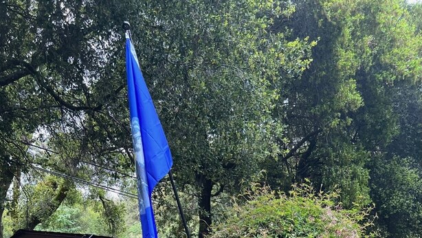 Een rustieke houten hut met een blauwe vlag, omringd door weelderige begroeiing en een houten hek.