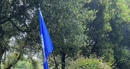 Quaint Cabin in the Santa Cruz Mountains