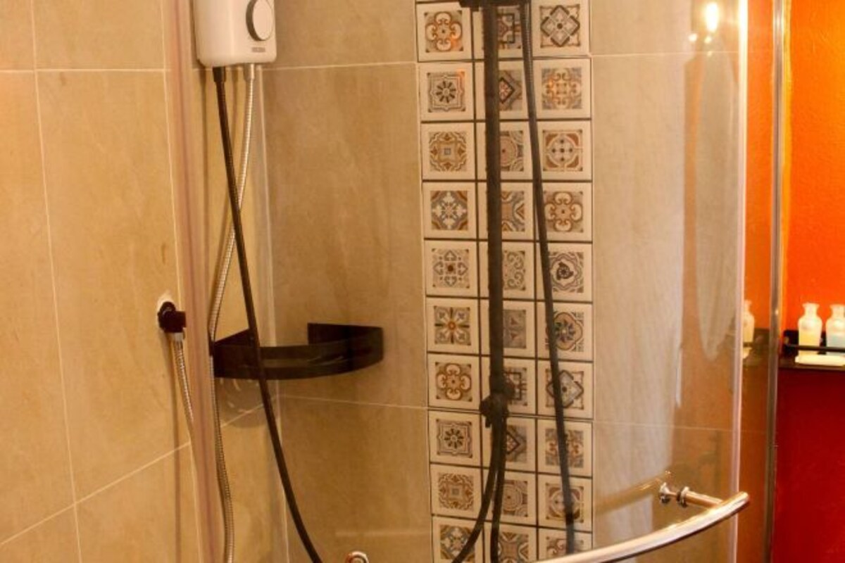 Douchegedeelte met een betegelde wand, een handdouche en een glazen deur.