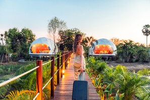 Individually decorated, individually furnished, desk, laptop workspace - Nakara Villas & Glamping (Udon Thani)