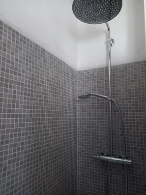 Shower, hair dryer, bidet, towels