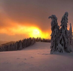 Exterior - Hotel Iadolina (Budureasa)