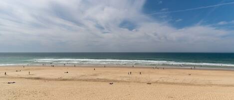 Accommodatie ligt op het strand